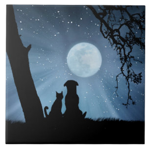 Super cute Dog and Cat with Moon Art Tile