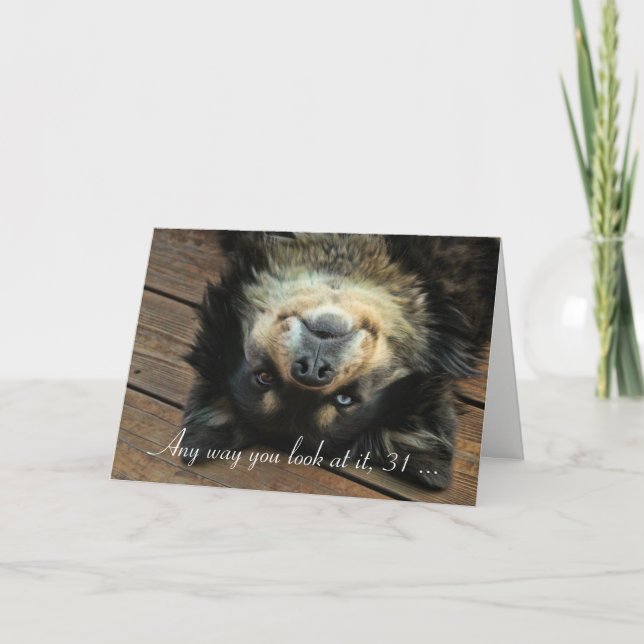 Super Cute Dog Happy 31st Birthday Funny Card (Front)