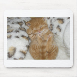 Super Cute Ginger Sleeping Kitten Mouse Mat