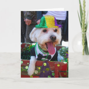 Super Cute Greeting Card! Card