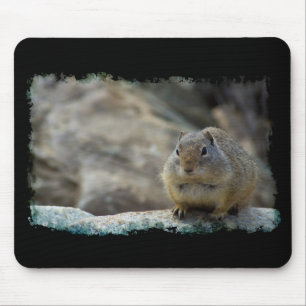Super Cute Ground Squirrel Black Border Mouse Mat