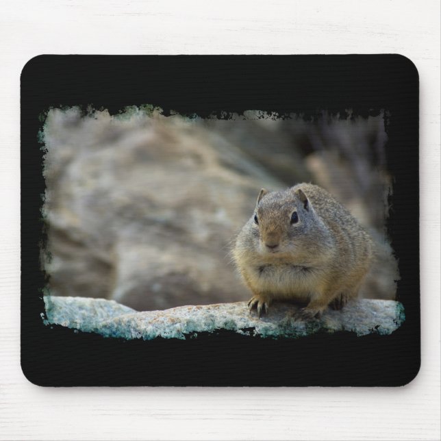 Super Cute Ground Squirrel Black Border Mouse Mat (Front)