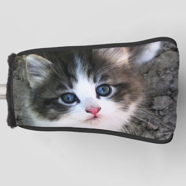 Super Cute Kitten Cat Photograph Golf Head Cover (Front)