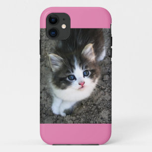 SUPER CUTE Kitten Customisable iPhone 11 Case