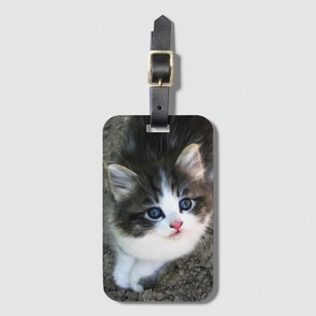 SUPER CUTE Kitten Portrait Luggage Tag (Front Vertical)