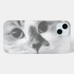 SUPER CUTE Kitten Portrait Photograph iPhone 15 Mini Case