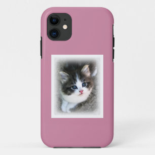 SUPER CUTE Kitten Portrait Photograph iPhone 11 Case