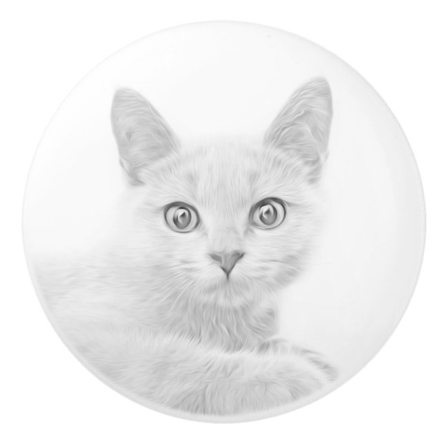 SUPER CUTE Kitten Portrait Photograph Ceramic Knob (Front)