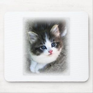 SUPER CUTE Kitten Portrait Photograph Mouse Mat