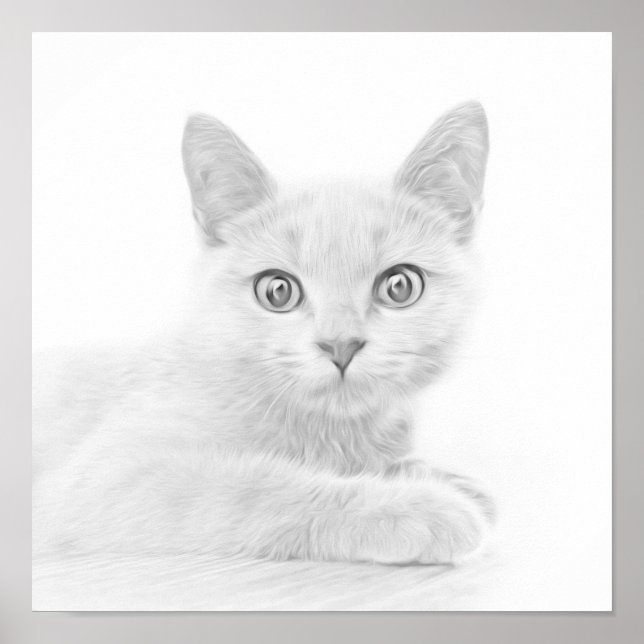 SUPER CUTE Kitten Portrait Photograph Poster (Front)