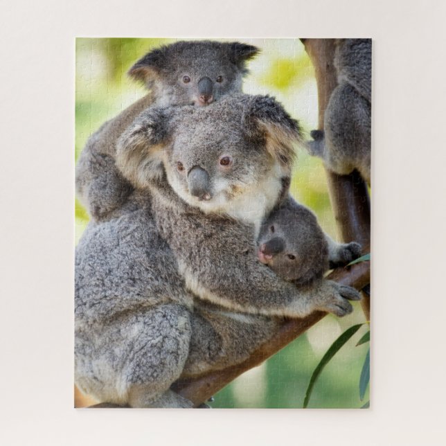 Super Cute Koala Wildlife Family Group Jigsaw Puzzle (Vertical)