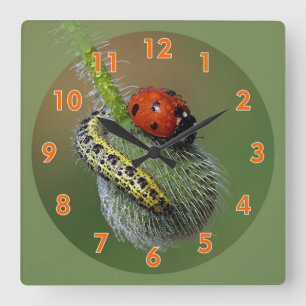 Super Cute Lady Bug & Caterpillar  Square Wall Clock