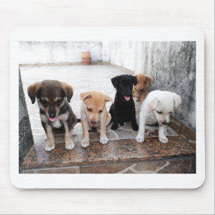 Super Cute Puppies Photo Mouse Mat