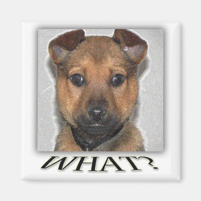 Super cute puppy magnet (Front)