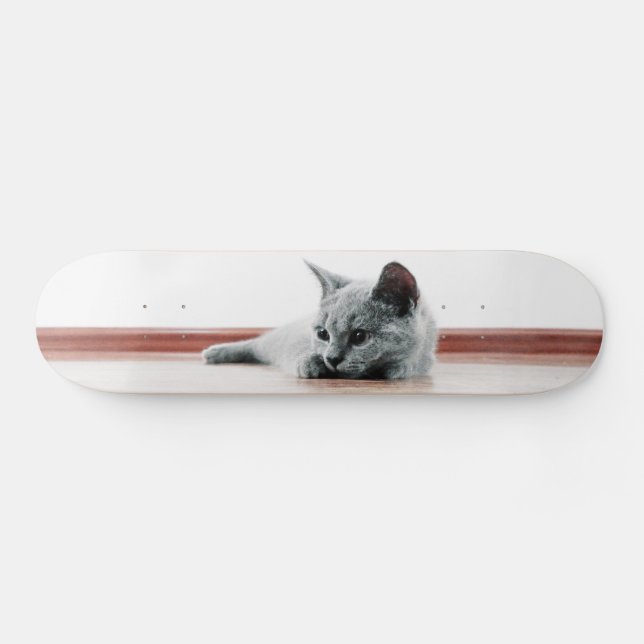 Super Cute Scottish Fold Kitten Cat Skateboard (Horz)