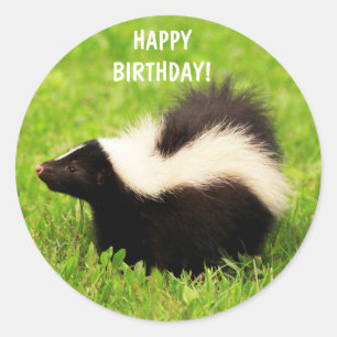 Super Cute Skunk Birthday Classic Round Sticker