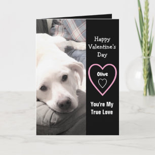 Super Cute Valentine's Day White Puppy Dog Black Card