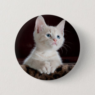 Super Cute White Kitten 6 Cm Round Badge
