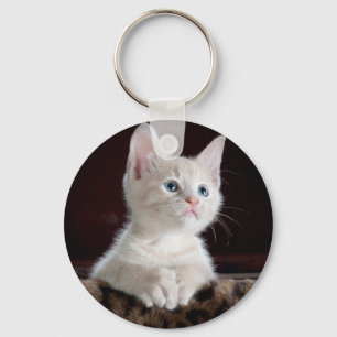 Super Cute White Kitten Key Ring