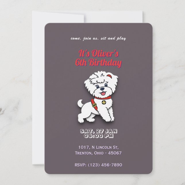 Super Dog Birthday on Chocolate Colour Personalise Invitation (Front)