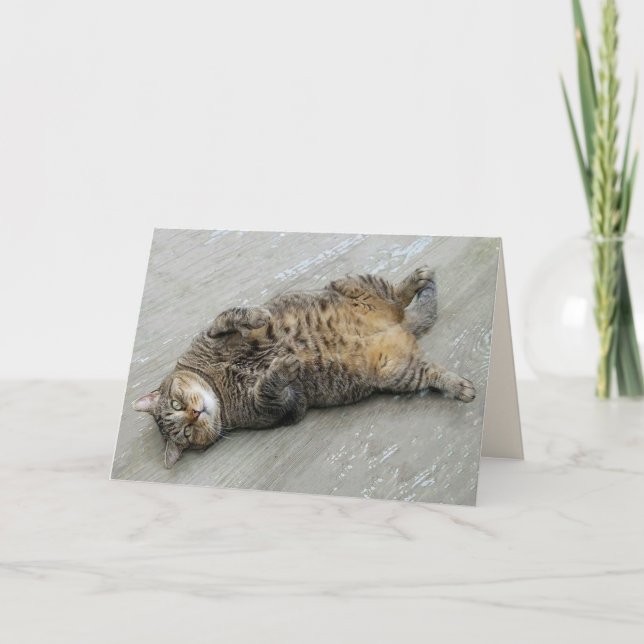 Super Excited Cat Birthday Card (Front)