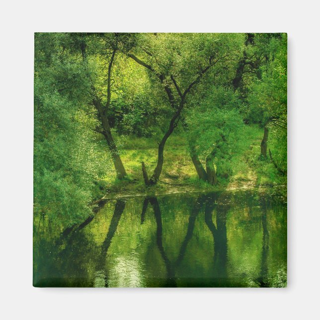 Super Green River / Lake Trees Reflection Magnet (Front)