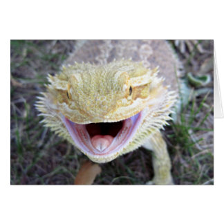 Super Happy Bearded Dragon