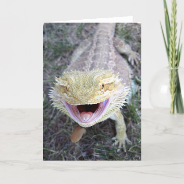 Bearded Dragon Gifts & Gift Ideas Zazzle UK