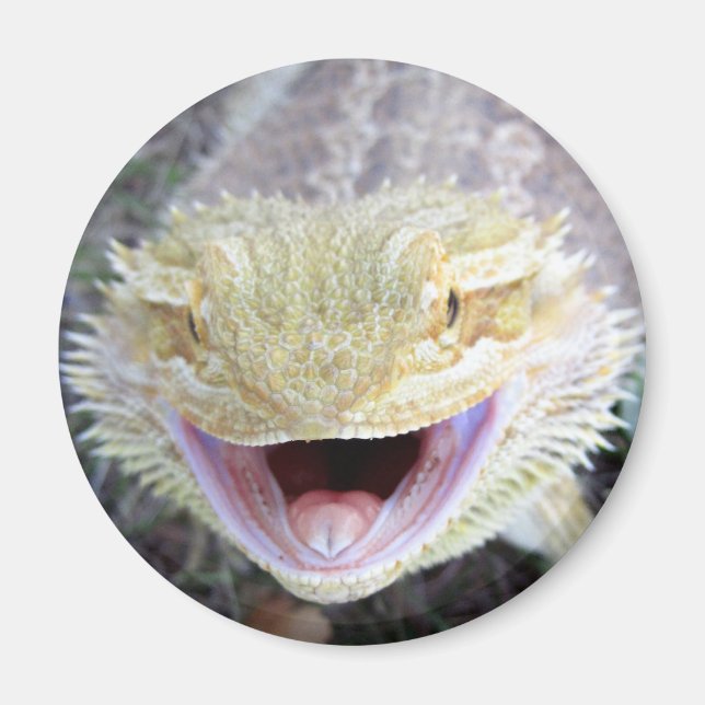 Super Happy Bearded Dragon Magnet (Front)