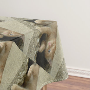 Super Hero Orange Tabby Kitten Tablecloth
