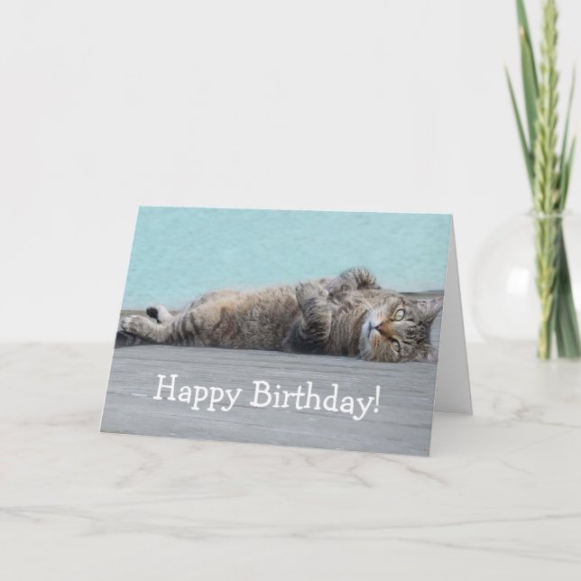 Super Lazy Cute Cat Funny Birthday Card (Front)