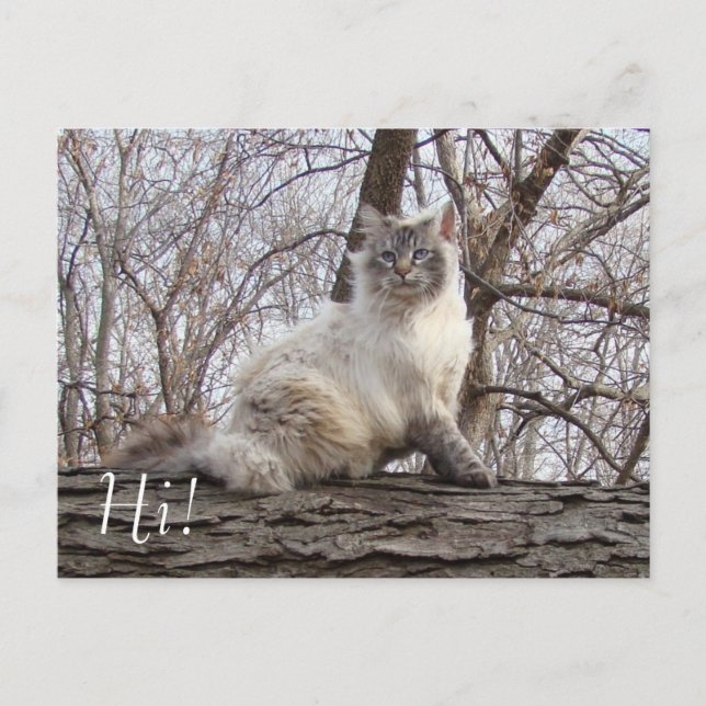 Super Model Greeting Postcard (Front)