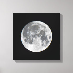 Super Moon   Mendota Heights Minnesota Canvas Print