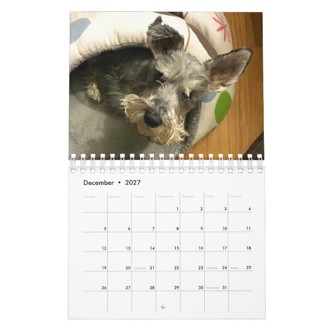 Super Owen 2016 Calendar (Dec 2027)