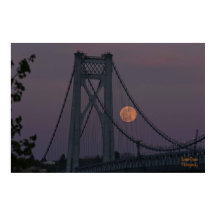 Super Pink Moon 2021 Poster