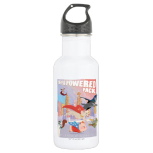 Super Powered Pack Metropolis Illustration 532 Ml Water Bottle