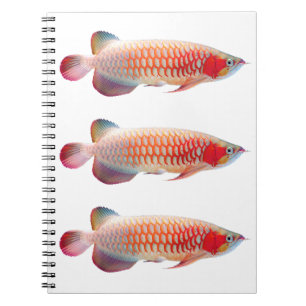 “Super Red Arowana”のスプリングノート Notebook