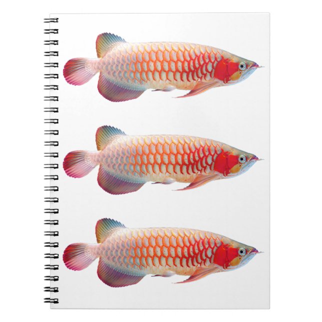 “Super Red Arowana”のスプリングノート Notebook (Front)
