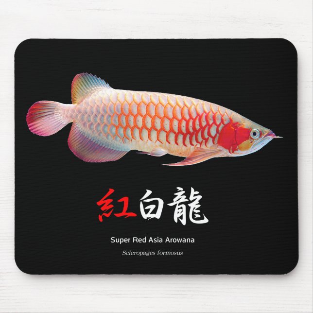 “Super Red Arowana”の優良製品 2 Mouse Mat (Front)