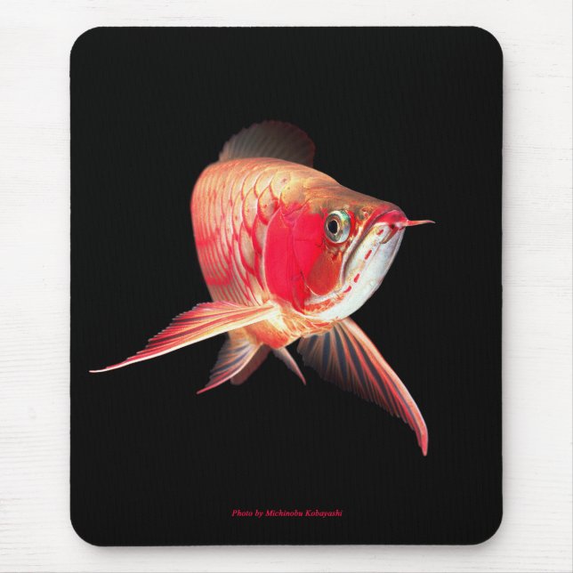Super Red Arowana Mouse Mat (Front)