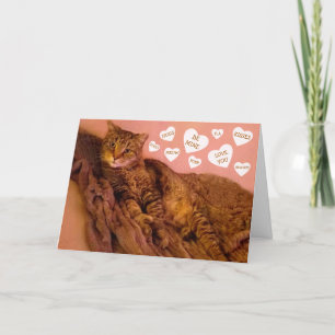 Super Romantic Cat Funny Valentine's Day Holiday Card