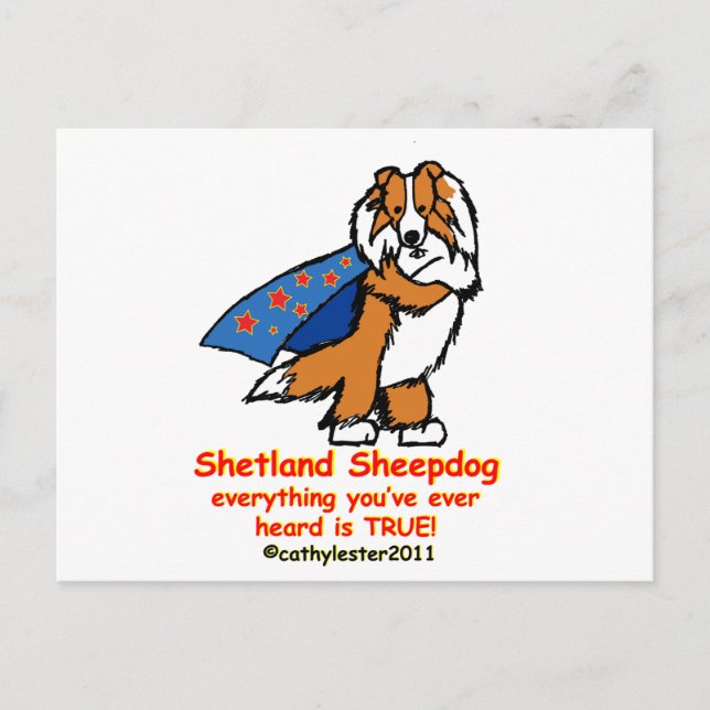 Super sheltie sable postcard (Front)