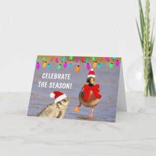 Super Silly Duck And Fish Christmas Holiday Card
