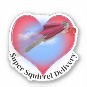 Super Squirrel Delivery Valentine's Day