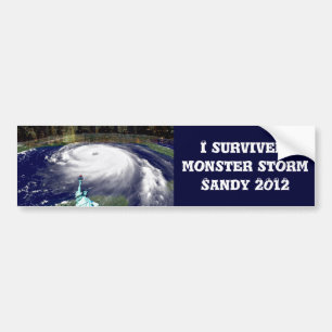 Super Storm Sandy 2012,Eye of the storm_ Bumper Sticker