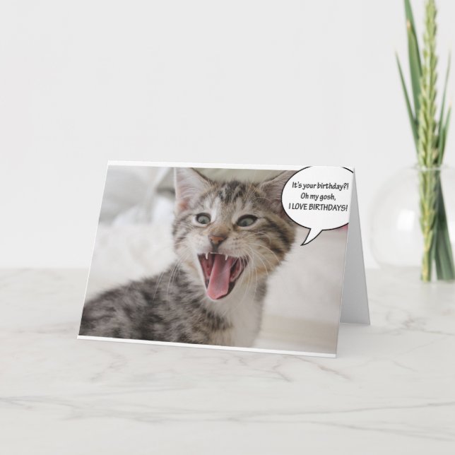 Super Surprised Birthday Kitten! Card (Front)