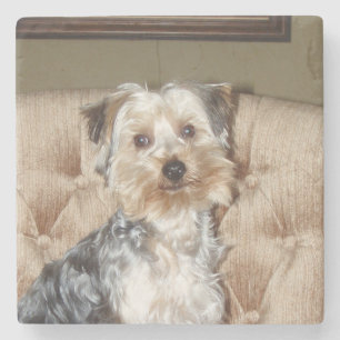Super Sweet Yorkie Posing Stone Coaster
