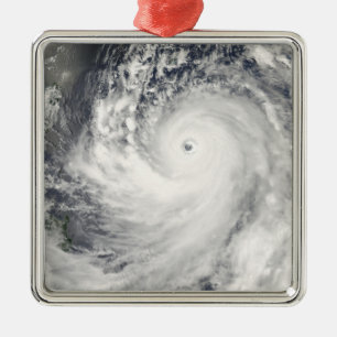 Super Typhoon Man-Yi Metal Tree Decoration