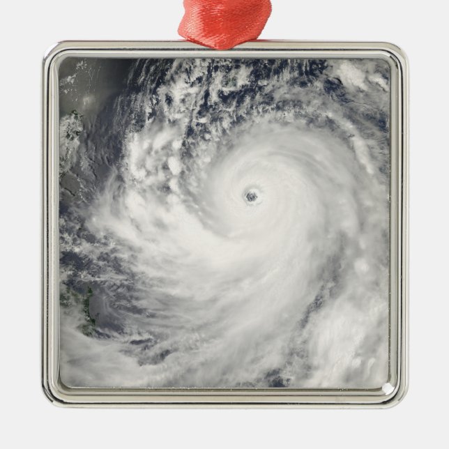 Super Typhoon Man-Yi Metal Tree Decoration (Front)