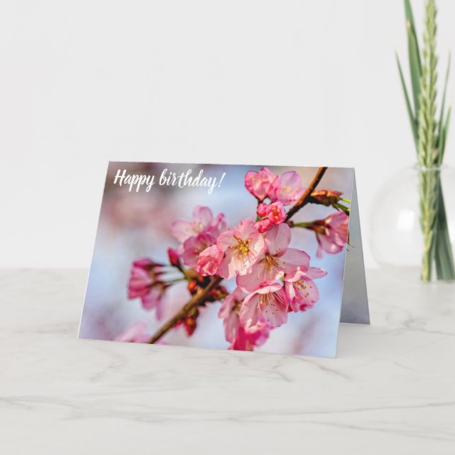 Superb Beauty Of Pink Sakura Flowers In Spring Card (Front)